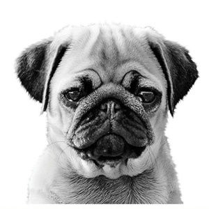 Meet your Posher, Sarah elizabeth